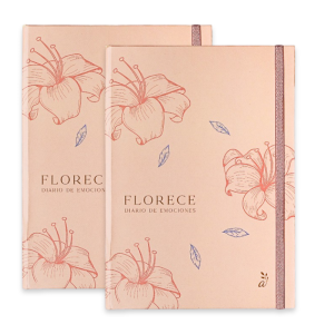 Kit amor que florece